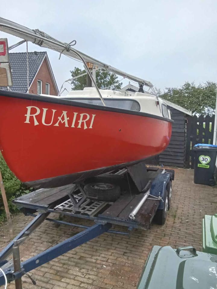 Jouet Tiburon